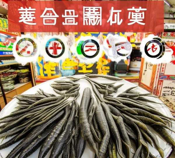海参选购指南，五大攻略助你找到优质海参