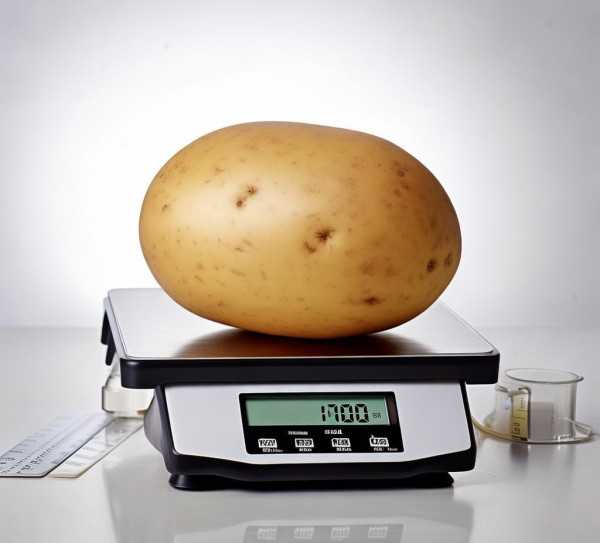 土豆重量揭秘，标准土豆究竟多重？